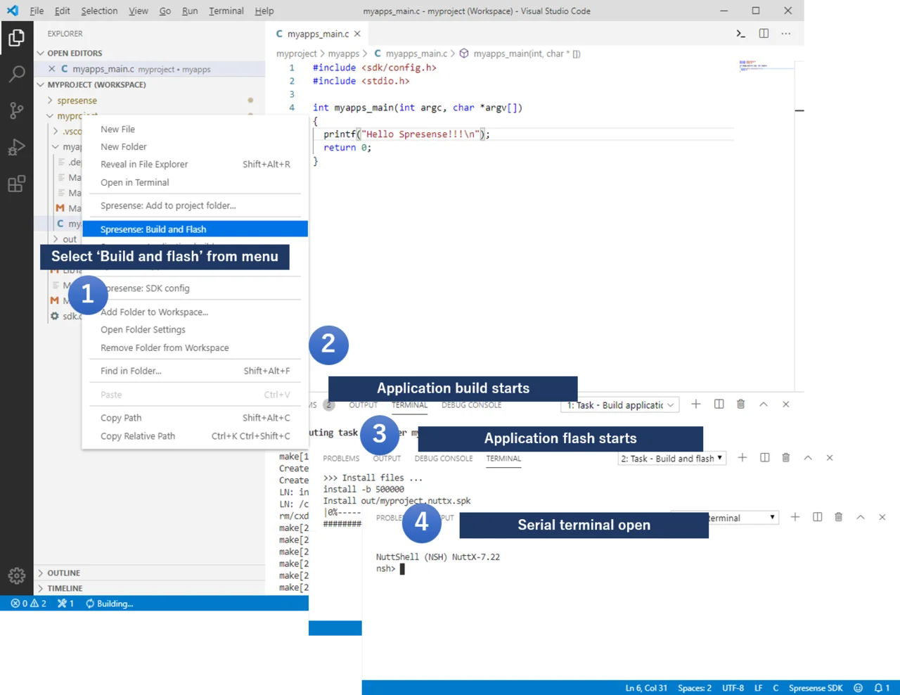 vscode flash application en